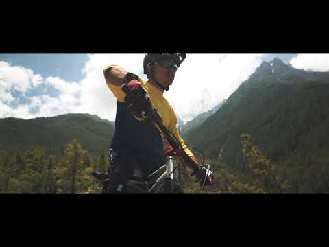 Gnarly Action Reel #290