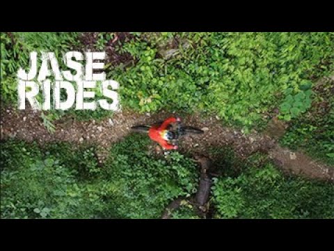 Gnarly Action Reel #294