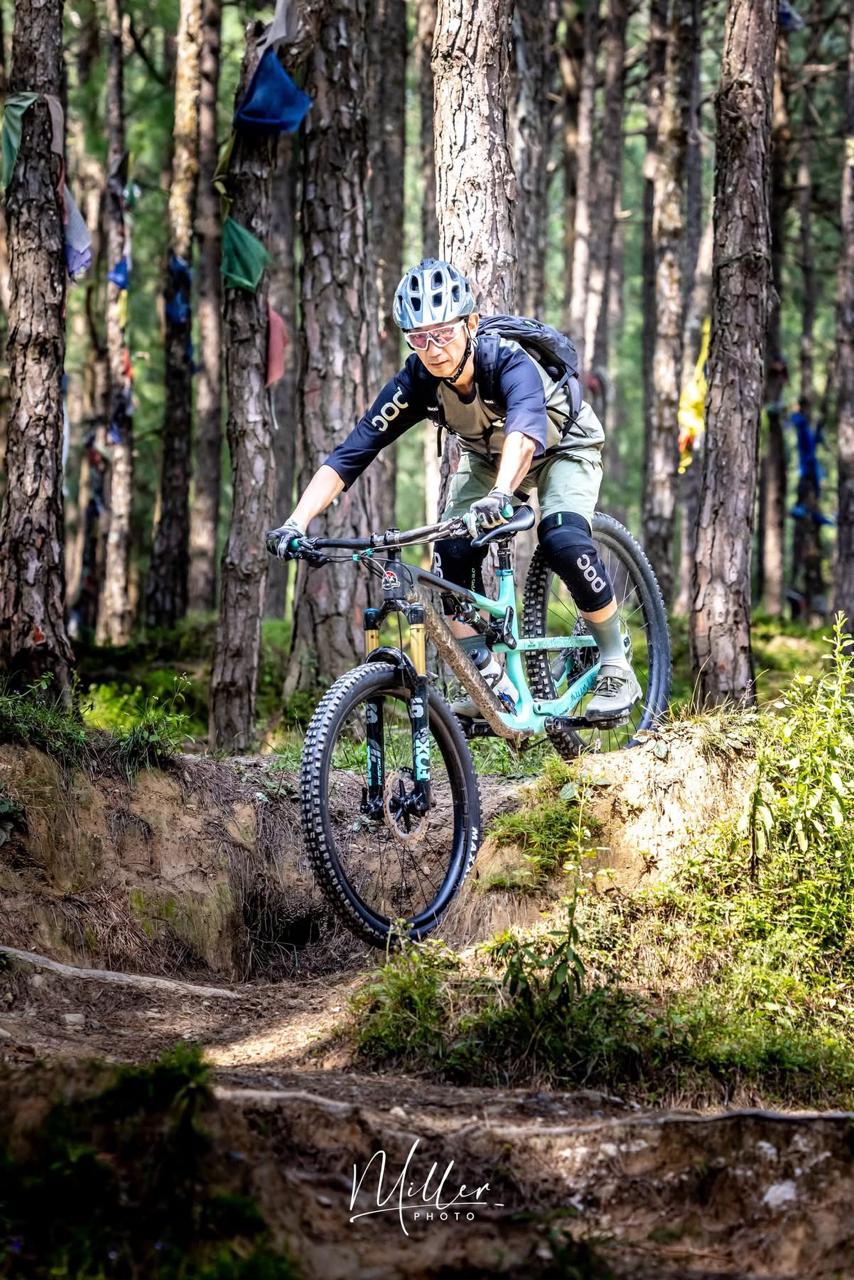 All-Mountain / Enduro